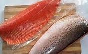 Ikan Salmon Banyak Di Negara Mana